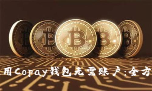 如何使用Copay钱包无需账户：全方位指南