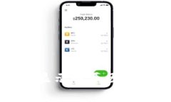 TP钱包余额不显示的原因及