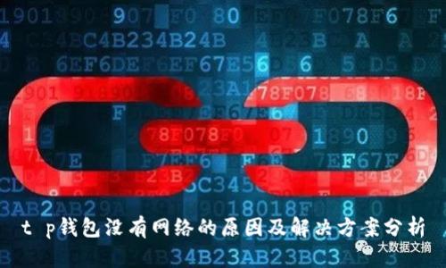 t p钱包没有网络的原因及解决方案分析